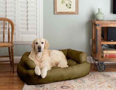 Image showing  Luxury Micro Suede Overstuffed Sofa Dog Bed