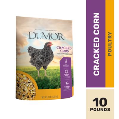DuMOR Cracked Purple Corn Poultry Feed, 10 lb.