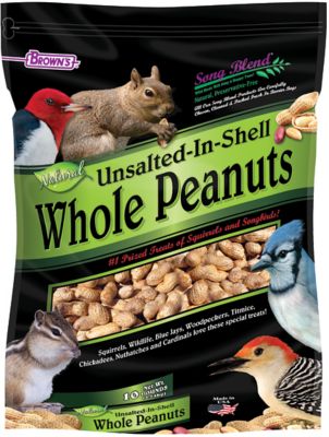 Brown's Song Blend Unsalted In-Shell Whole Peanuts Bird Food, 10 lb.
