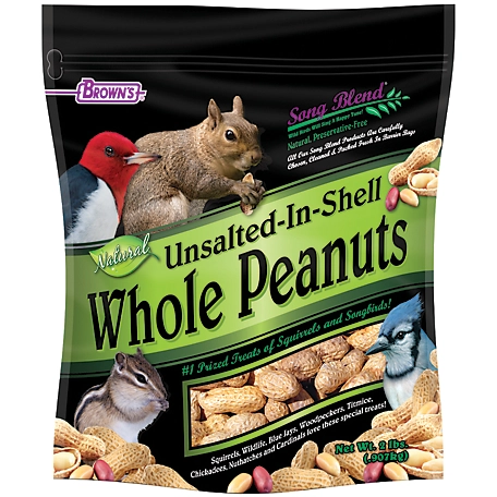Song Blend Unsalted In-Shell Whole Peanuts Wild Bird Food, 2 lb.