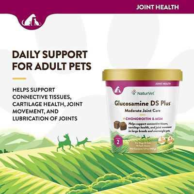 Image showing  Glucosamine DS Plus Soft Chews for Dogs and Cats, Level 2