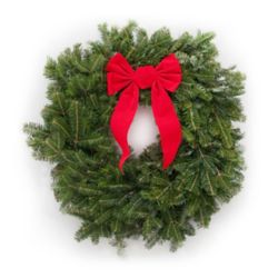 Dutchman Tree Farms Fraser Fir Wreath