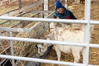 Image showing  16 ft. Square Corner Utility Gate, Gray