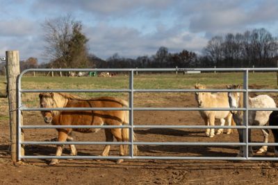 Image showing  16 ft. Square Corner Utility Gate, Gray