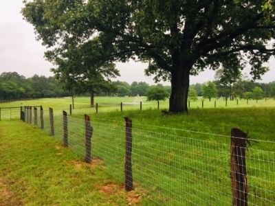 Image showing  200 ft. x 48 in. MAX-TIGHT Square Knot Class Galvanized Horse Fence