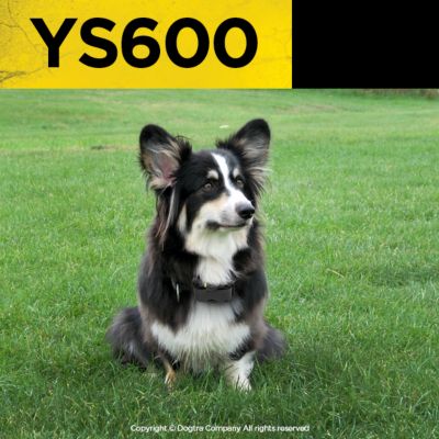 Image showing  YS600 Rechargeable Waterproof High-Output No Bark Dog Training Collar for Dogs 35 lb. and Up
