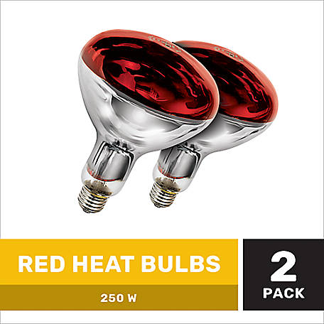 Pride 250 Watt 120v Red Heat Bulbs, How Much Does It Cost To Run A 125 Watt Heat Lamp