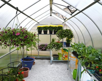 Image showing  8 ft. L x 12 ft. W Silver Canopia I Bella Hobby Greenhouse
