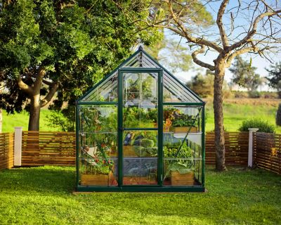 Image showing  8 ft. L x 6 ft. W Green Canopia Hybrid Greenhouse