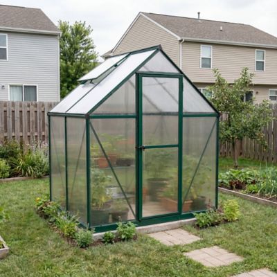 Image showing 9 th Canopia by Palram 6 L x 4 W ft. Green Canopia I Mythos Hobby Greenhouse