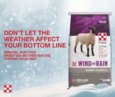 Image showing  Wind and Rain Sheep Mineral Feed