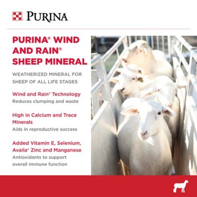 Image showing  Wind and Rain Sheep Mineral Feed