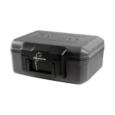 image of a Chest Safes