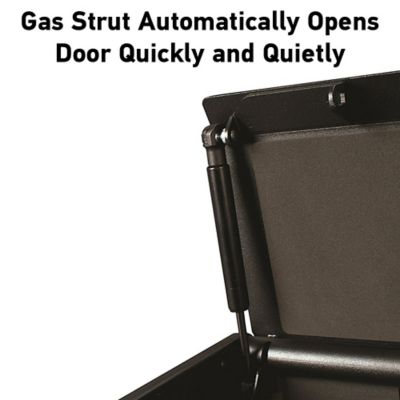 Image showing  0.08 cu. ft. 1-Gun Digital Lock Quick-Access Digital Pistol Safe