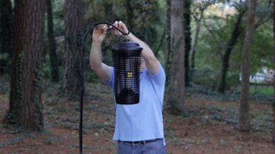 Image showing  40W Bug Zapper with Black Bulb