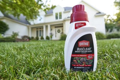 Image showing  32 oz. BugClear Insect Killer for Lawns & Landscapes, Concentrate