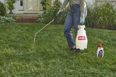 Image showing  32 oz. BugClear Insect Killer for Lawns & Landscapes, Concentrate