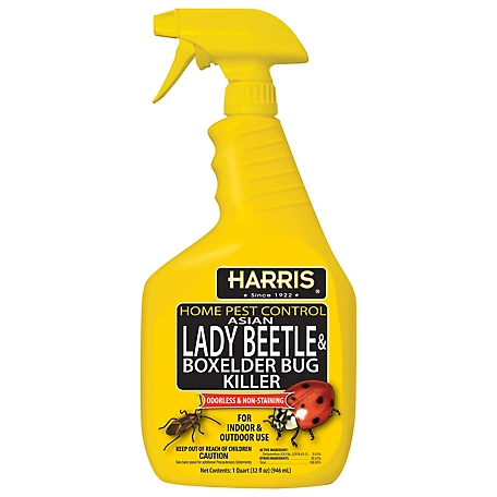 Harris 32 oz. Lady Beetle and Box Elder Bug Killer