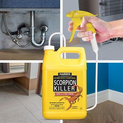 Image showing  1 gal. Scorpion Killer Liquid Spray with Odorless and Non-Staining Formula