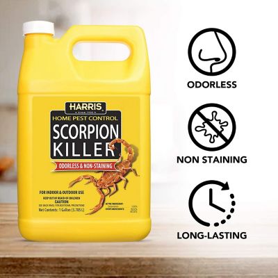 Image showing  1 gal. Scorpion Killer Liquid Spray with Odorless and Non-Staining Formula