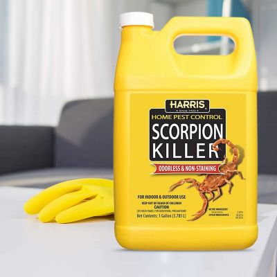 Image showing  1 gal. Scorpion Killer Liquid Spray with Odorless and Non-Staining Formula
