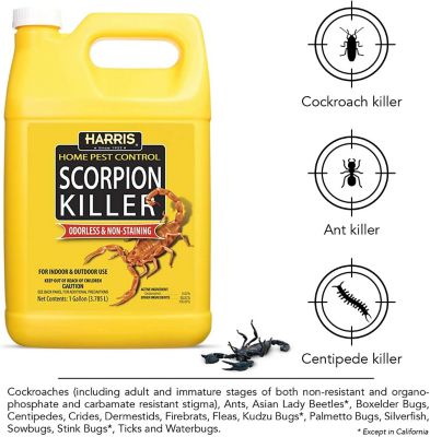 Image showing  1 gal. Scorpion Killer Liquid Spray with Odorless and Non-Staining Formula