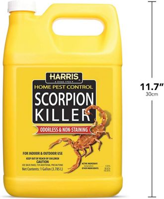 Image showing 5 th Harris 1 gal. Scorpion Killer Liquid Spray with Odorless and Non-Staining Formula