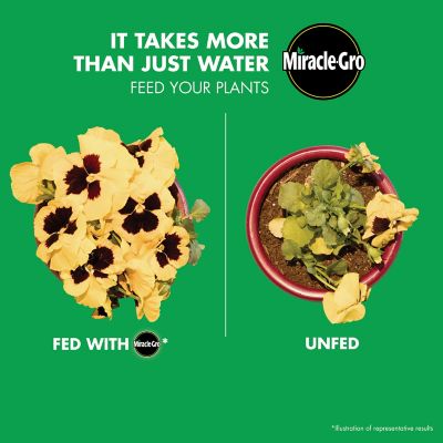 Image showing  2.23 lb. 400 sq. ft. LiquaFeed All-Purpose Plant Food Advance Starter Kit, Feeder and 1 Refill Included