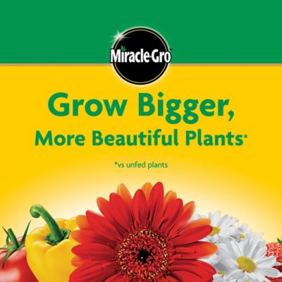 Image showing 7 th Miracle-Gro 10 lb. Water Soluble All-Purpose Plant Food