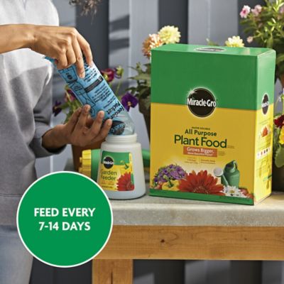 Image showing 9 th Miracle-Gro 10 lb. Water Soluble All-Purpose Plant Food