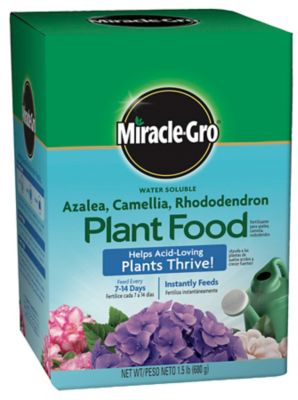 Miracle-Gro 1.5 lb. 600 sq. ft. Water Soluble Azalea, Camellia and Rhododendron Plant Food