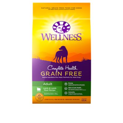 wellness complete health lamb