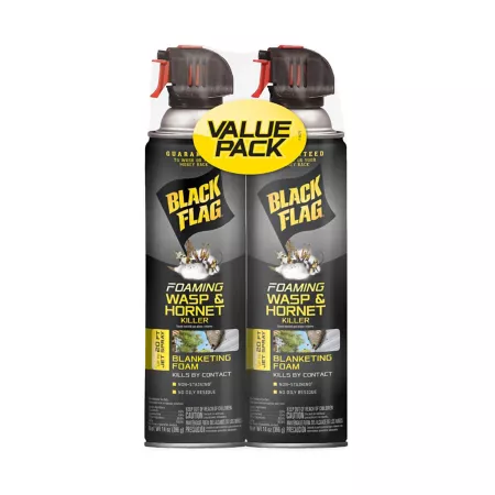 Black Flag 28 oz Foaming Wasp & Hornet Killer 2 Pack Insecticides