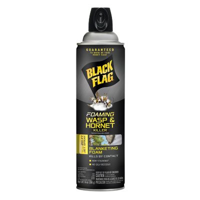 Image showing  28 oz. Foaming Wasp and Hornet Killer, 2-Pack