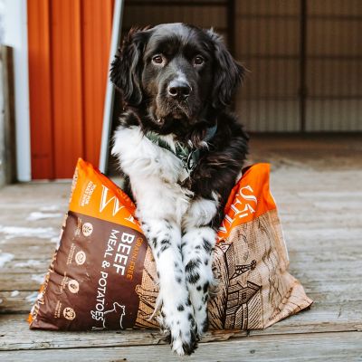 Image showing  Adult Grain-Free Beef and Potato Recipe Dry Dog Food, 35 lb. Bag