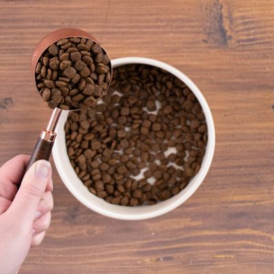 Image showing  Adult Grain-Free Beef and Potato Recipe Dry Dog Food, 35 lb. Bag