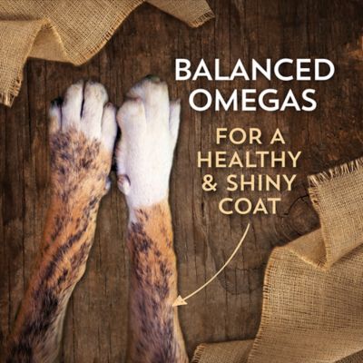 Image showing  Adult Grain-Free Beef and Potato Recipe Dry Dog Food, 35 lb. Bag