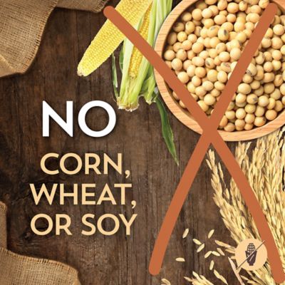 Image showing 6 th Wholesomes Adult Grain-Free Beef and Potato Recipe Dry Dog Food, 35 lb. Bag