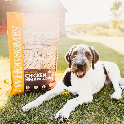 Image showing  Adult Grain-Free Chicken Meal and Potatoes Recipe Dry Dog Food, 35 lb. Bag