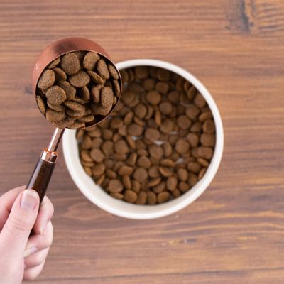 Image showing  Adult Grain-Free Chicken Meal and Potatoes Recipe Dry Dog Food, 35 lb. Bag