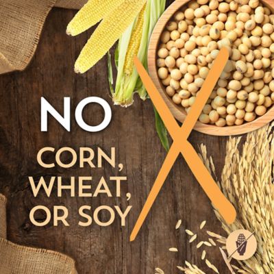 Image showing 6 th Wholesomes Adult Grain-Free Chicken Meal and Potatoes Recipe Dry Dog Food, 35 lb. Bag