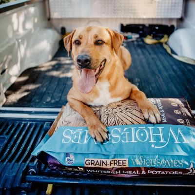 Image showing  Adult Grain-Free Whitefish and Potatoes Recipe Dry Dog Food, 35 lb. Bag