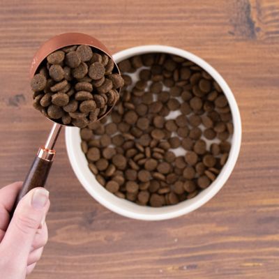 Image showing  Adult Grain-Free Whitefish and Potatoes Recipe Dry Dog Food, 35 lb. Bag