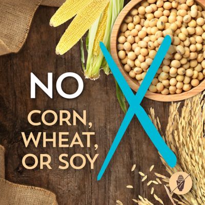 Image showing 6 th Wholesomes Adult Grain-Free Whitefish and Potatoes Recipe Dry Dog Food, 35 lb. Bag