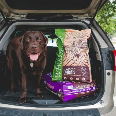 Image showing  Large Breed Adult Chicken Meal and Rice Recipe Dry Dog Food, 40 lb. Bag