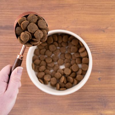 Image showing  Large Breed Adult Chicken Meal and Rice Recipe Dry Dog Food, 40 lb. Bag