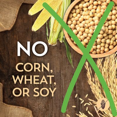 Image showing 6 th Wholesomes Large Breed Adult Chicken Meal and Rice Recipe Dry Dog Food, 40 lb. Bag