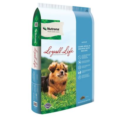 Nutrena Loyall Life Adult Lamb and Brown Rice Recipe Dry Dog Food