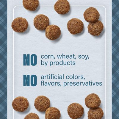 Image showing 5 th Nutrena Loyall Life Adult Lamb and Brown Rice Recipe Dry Dog Food, 40 lb. Bag