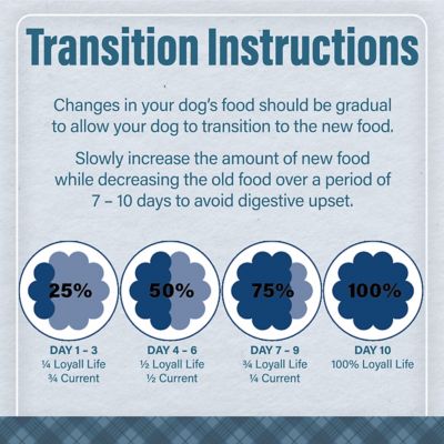 Image showing 8 th Nutrena Loyall Life Adult Lamb and Brown Rice Recipe Dry Dog Food, 40 lb. Bag